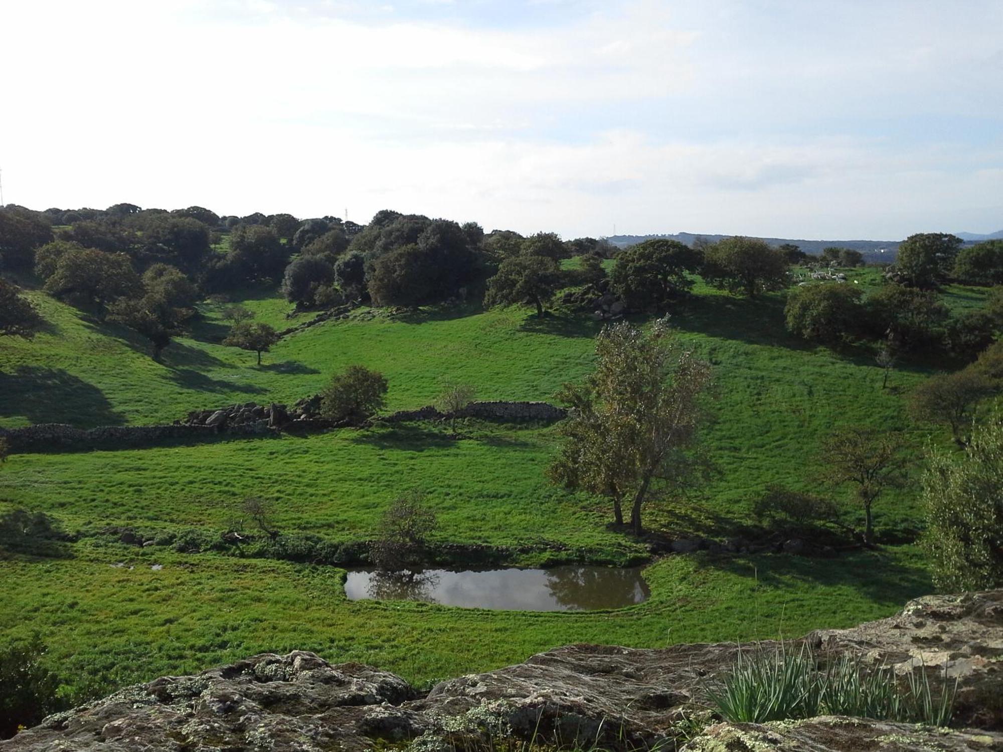 Agriturismo Pentuma Chiaramonti Eksteriør bilde