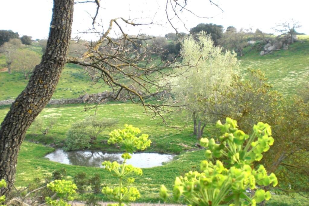 Agriturismo Pentuma Chiaramonti Eksteriør bilde