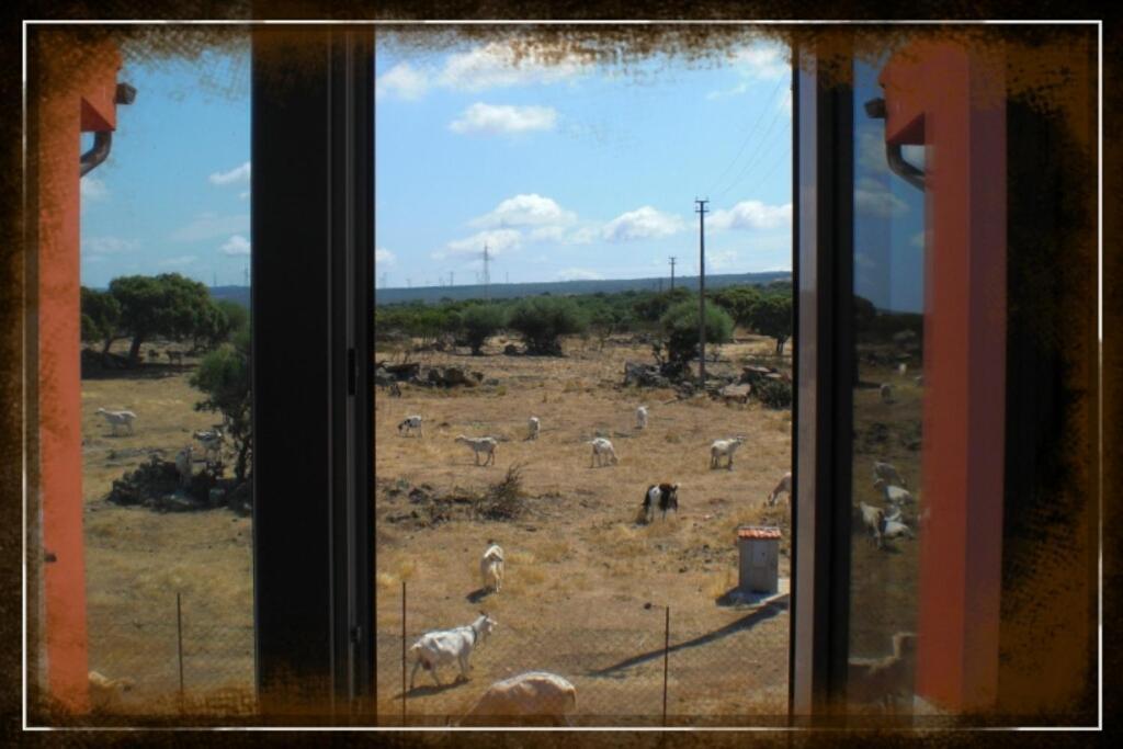 Agriturismo Pentuma Chiaramonti Rom bilde