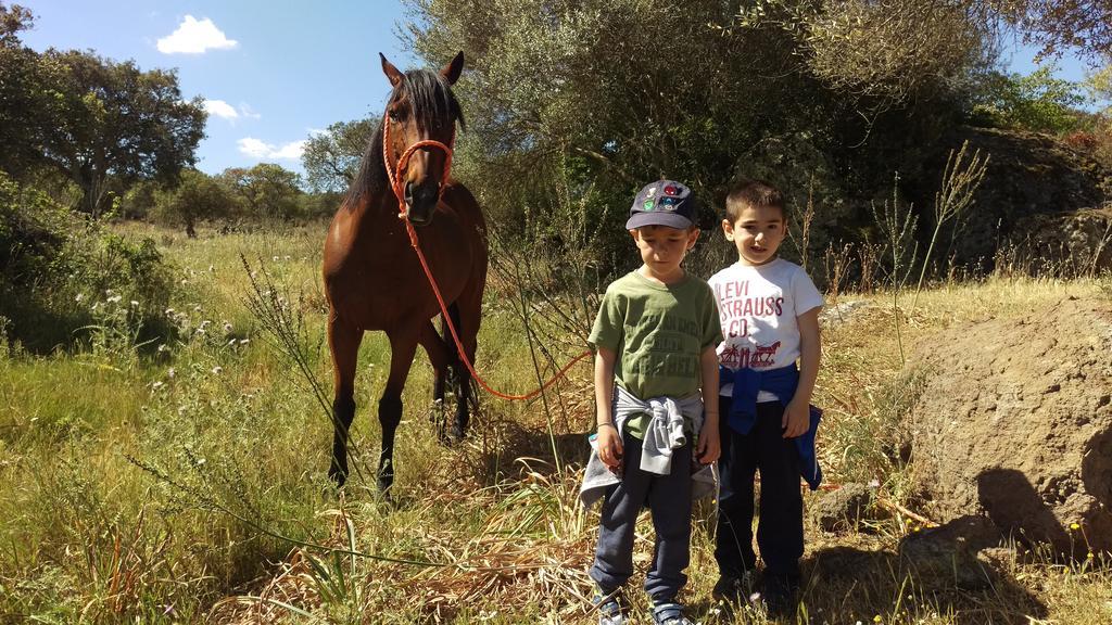 Agriturismo Pentuma Chiaramonti Eksteriør bilde