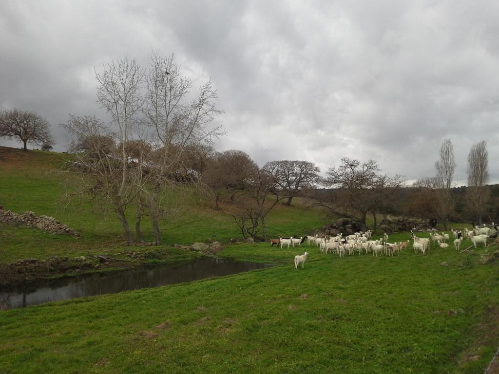 Agriturismo Pentuma Chiaramonti Eksteriør bilde