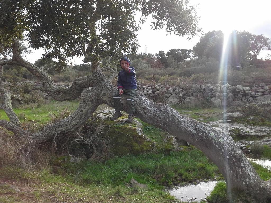 Agriturismo Pentuma Chiaramonti Eksteriør bilde